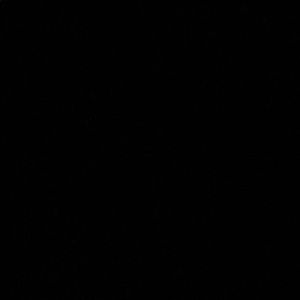 Meet your Posher, Gabriella